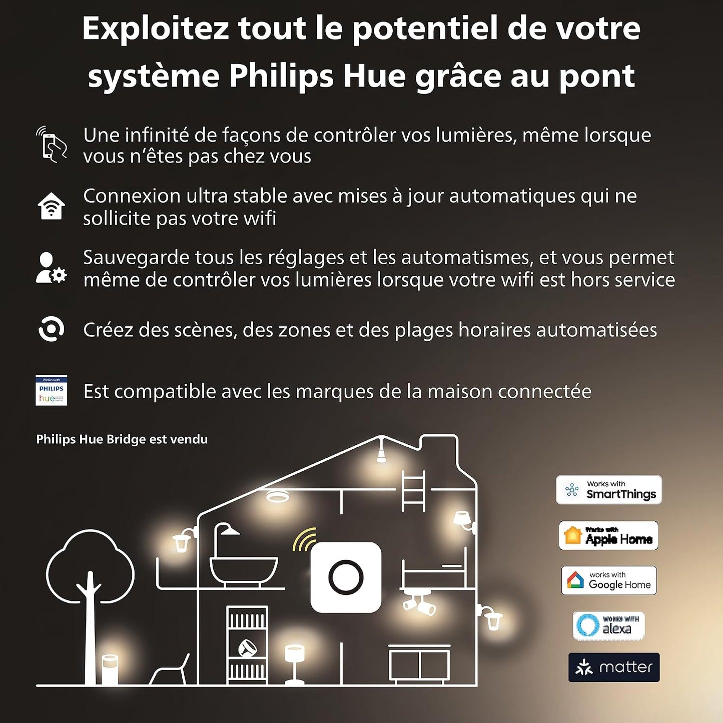 Philips Hue White Ambiance, Ampoule Vintage Filament E14, Compatible Bluetooth, Format Flamme, Pack De 2, Fonctionne Avec Alexa, Google Assistant Et Apple Homekit