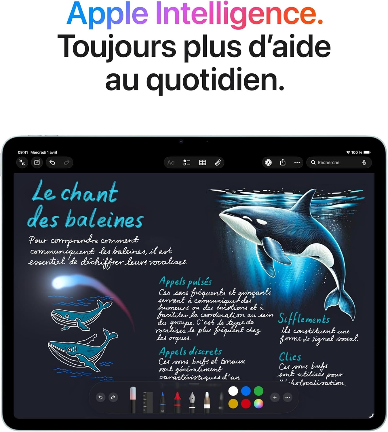 Ipad Air 13 Pouces (M4) : Écran Liquid Retina, 256 Go, Caméras Avant/Arrière 12 MP, Wi‑Fi 7 Avec  N1, Touch ID, Autonomie D’Une Journée – Gris Sidéral