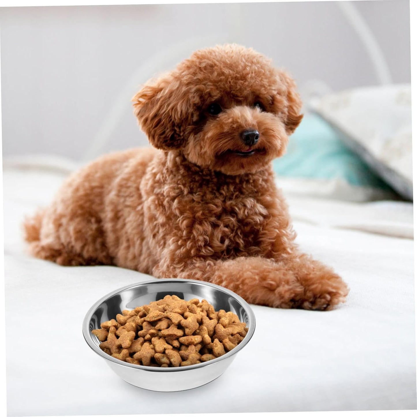 Lot De 5 Gamelles Pour Chat En Acier Inoxydable Bol De Nourriture Réutilisable Rond 5.51 in Récipient Alimentaire Pour Chaton Chiot Et Petit Animal Facile À Nettoyer