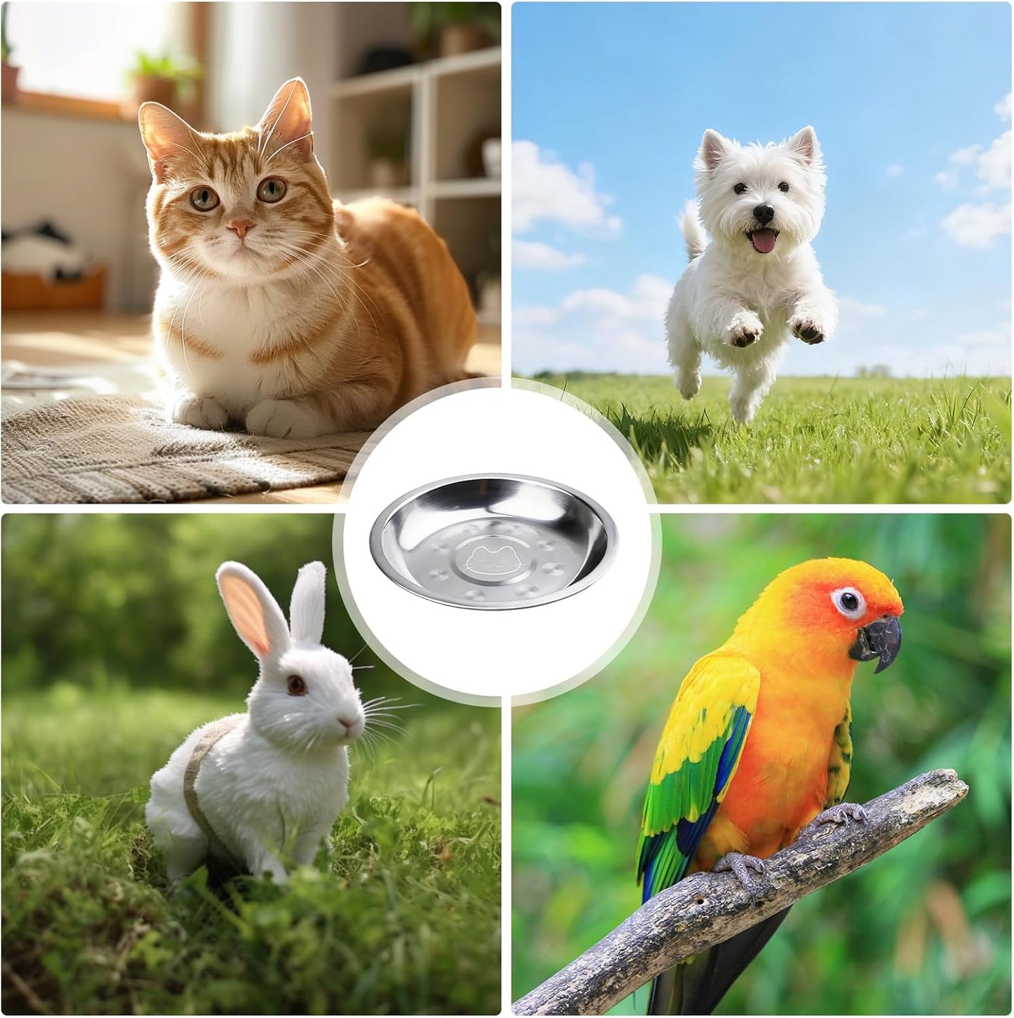 Lot De 15 Gamelles Pour Chat En Acier Inoxydable : 16 Cm Gamelle Pour Chat Plate En Acier Inoxydable 304, Gamelle Pour Chat, Gamelle Anti-Chute Pour Chat Anti-Chute Et Facile À Nettoyer, Facile À