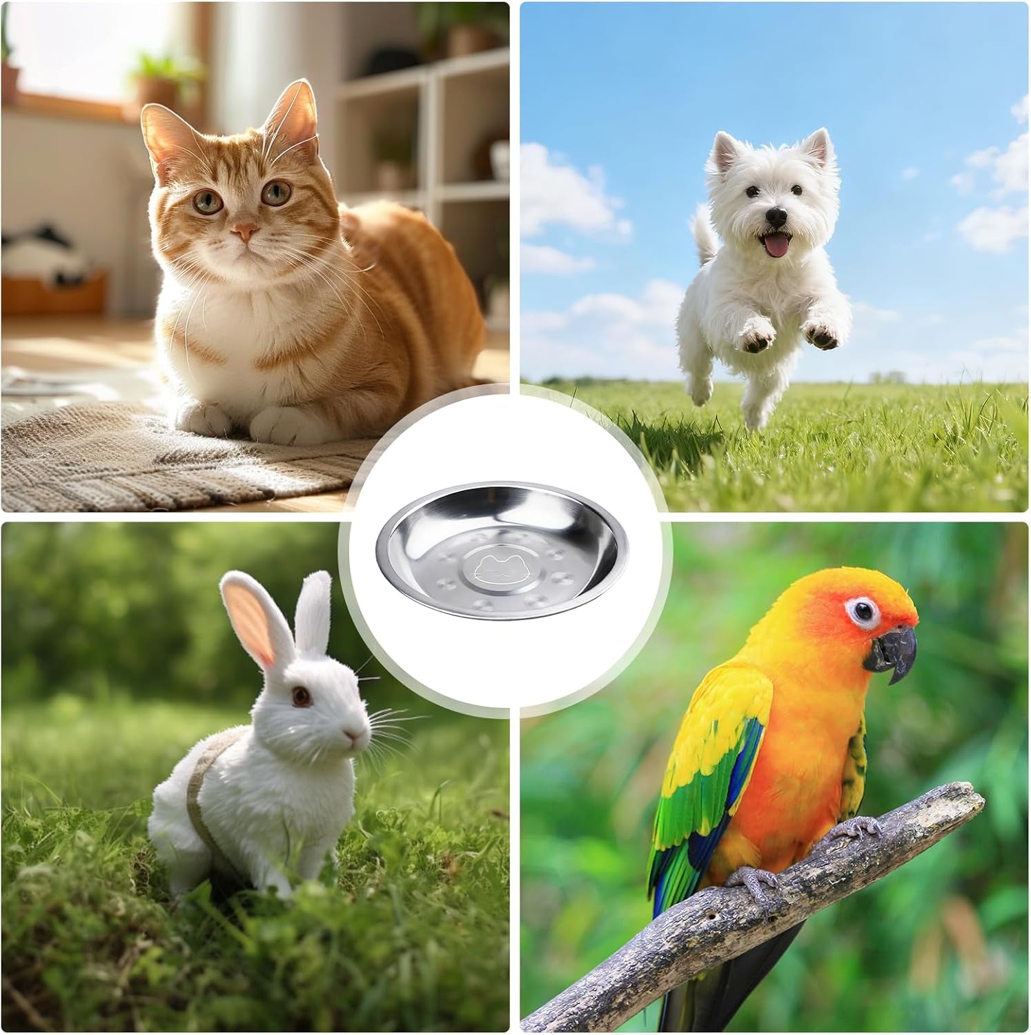 Lot De 15 Gamelles Pour Chat En Acier Inoxydable : 16 Cm Gamelle Pour Chat Plate En Acier Inoxydable 304, Gamelle Pour Chat, Gamelle Anti-Chute Pour Chat Anti-Chute Et Facile À Nettoyer, Facile À