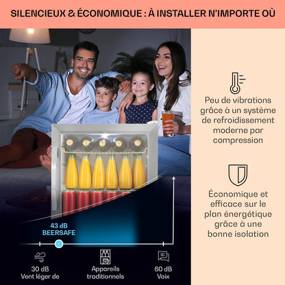 Mini Frigo De Chambre Et Bureau Pour Boisson, Petit Frigo Silencieux, Refrigerateur Mini Bar 47L, Petit Réfrigérateur Camping, Étagères Réglables, Ondulés Pour Le Vin, Cannette, Beer Fridge