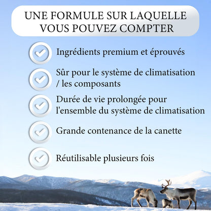 Nordo 5-En-1 – 5X Réfrigérant R134A 235 G Chaque Boîte Pour Climatisation Auto Avec Huile, Stop-Fuite, Traceur UV Et Déshydratant – Protège Le Compresseur