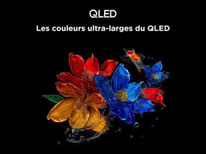 TCL 65T6C 65” QLED 4K HDR TV, Fire TV (Téléviseur Intelligent Avec Dolby Vision Et Atmos, HDR10+, Appuyez Et Demandez À Alexa)