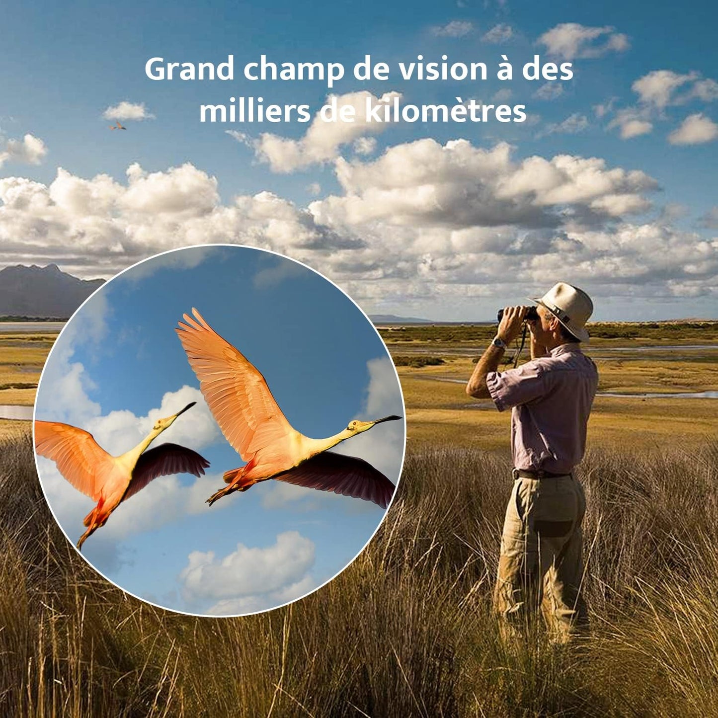 Jumelles Compactes HD 10 X 42 Pour Adultes, Prismes BAK4 | Objectifs FMC, Jumelles Étanches Pour L'Observation Des Oiseaux, De La Faune Avec Adaptateur Téléphonique