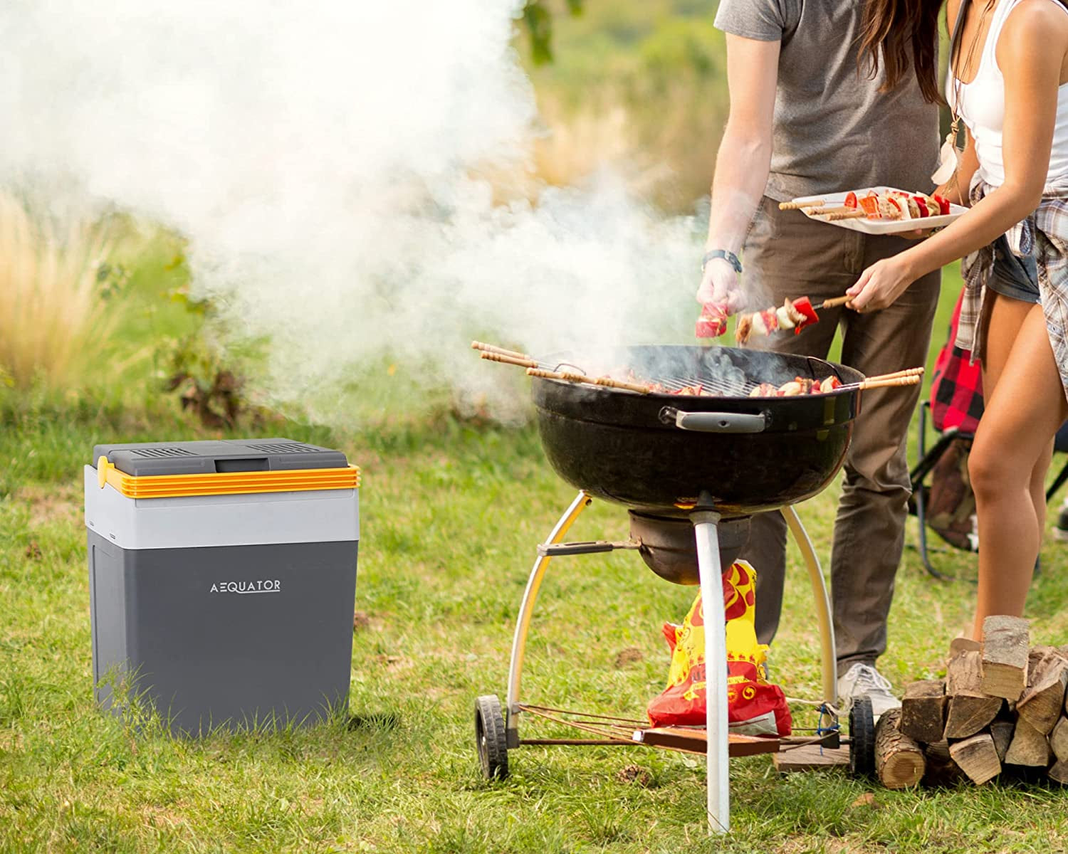 LUMI 28, Réfrigérateur Portable, 28 Liter, Glacière Électrique Portable, Chaud/Froid, 28L, 12/230V (0826042N.AE)