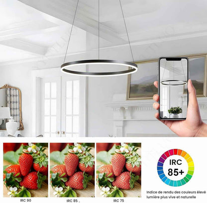 Lustre LED Moderne DIY Cercle | 1 Noire Anneaux :60Cm=29W| Éclairage Suspendu LED Métal+Acrylique Télécommande Intensité Variable 2,13G Lampe Suspendue Plafond Ronde Salon Chambre Coucher