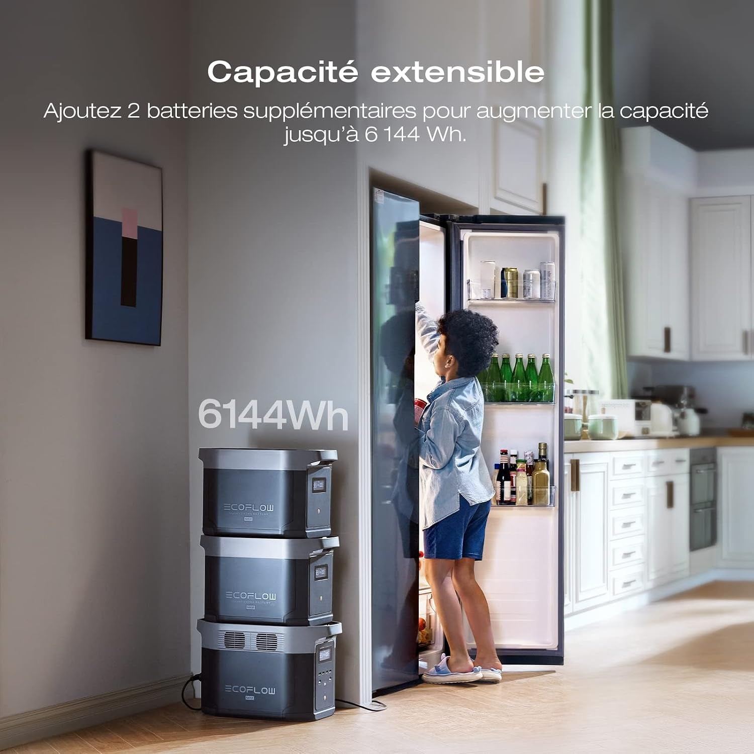 Station Électrique Portable Ecoflow DELTA 2 Max 2048Wh, Recharge Rapide | Batterie LFP 3000 Cycles, Puissance De Sortie 3100 W, Générateur Solaire Pour La Maison/Camping/Rv/Voyages