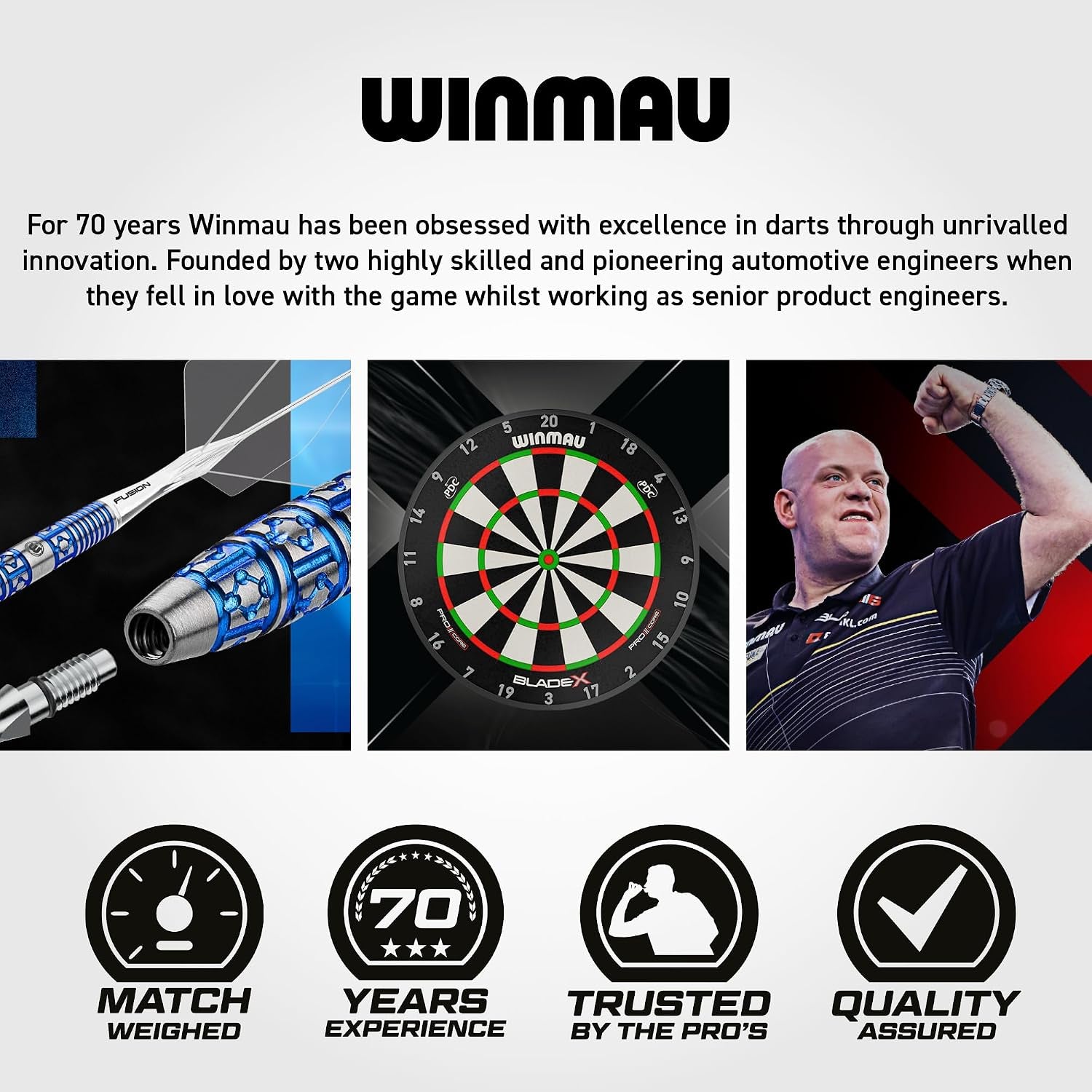 Blade 6 Professional Bristle Dartboard - Official Tournament Specification