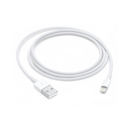 Câble Lightning Vers USB (1 M)