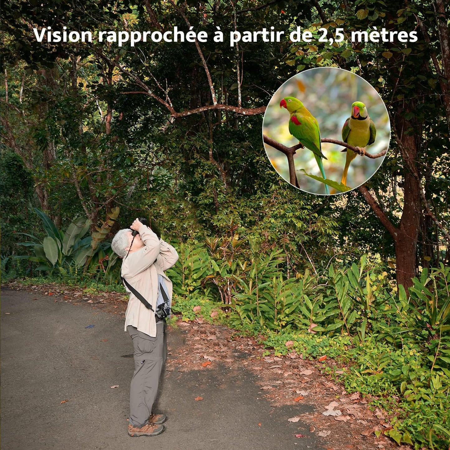 Jumelles Compactes HD 10 X 42 Pour Adultes, Prismes BAK4 | Objectifs FMC, Jumelles Étanches Pour L'Observation Des Oiseaux, De La Faune Avec Adaptateur Téléphonique