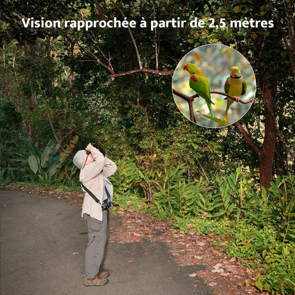 Jumelles Compactes HD 10 X 42 Pour Adultes, Prismes BAK4 | Objectifs FMC, Jumelles Étanches Pour L'Observation Des Oiseaux, De La Faune Avec Adaptateur Téléphonique