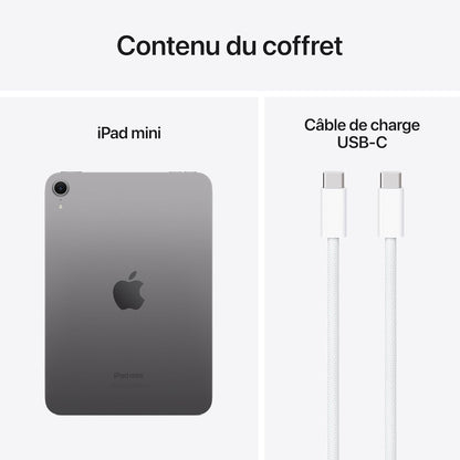 Ipad Mini (A17 Pro) : Écran Liquid Retina 8,3 Pouces, 128 Go, Wi-Fi 6E, Caméras Avant/Arrière 12 Mpx, Touch ID, Autonomie D’Une Journée - Gris Sidéral