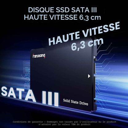 512Go SSD SATA III 6Go/S, SSD 2.5" 560Mo/S En Lecture, 3D NAND Disque SSD Interne Compatible Avec Ordinateurs Portables Et Ordinateurs De Bureau(S101Q)
