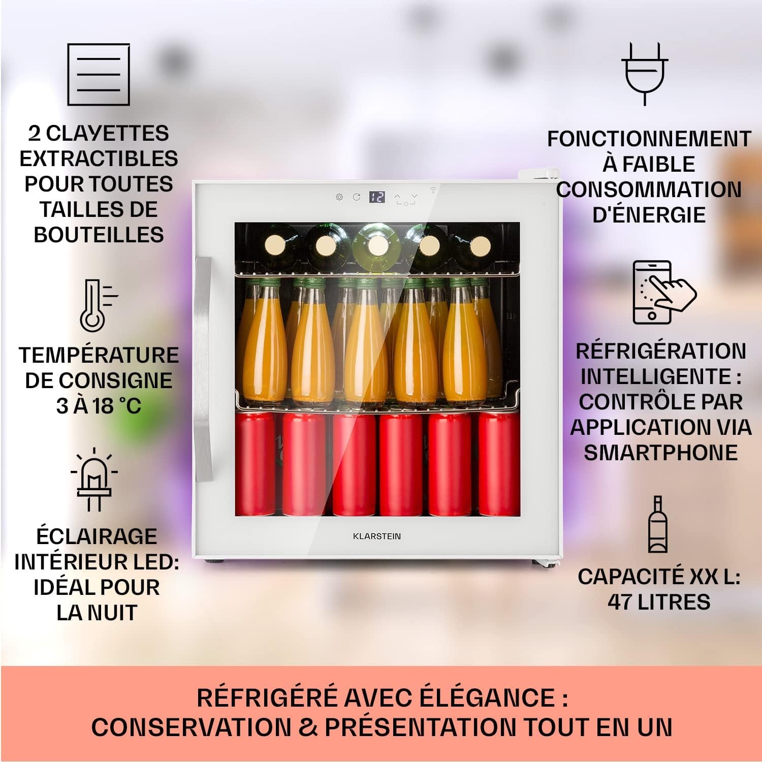Mini Frigo De Chambre De 47L Pour Boissons Et Bieres, Petit Frigo Silencieux, Mini Bar Intérieur/Ext, Petit Refrigérateur Camping, Stockage De Vins Et Boisssons, Étagères Amovibles, 5-18°C