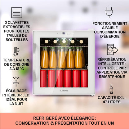 Mini Frigo De Chambre De 47L Pour Boissons Et Bieres, Petit Frigo Silencieux, Mini Bar Intérieur/Ext, Petit Refrigérateur Camping, Stockage De Vins Et Boisssons, Étagères Amovibles, 5-18°C