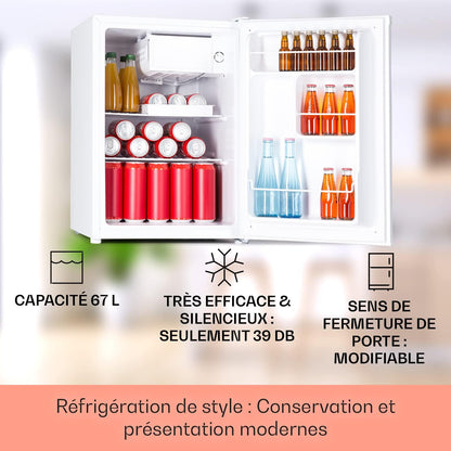 Mini Frigo De Chambre De 67L Pour Boissons Et Bieres, Petit Frigo Silencieux, Mini Bar Intérieur/Ext, Petit Refrigerateur Camping, Stockage De Vins, Cosmetique, Étagères Réglables, 5-14°C