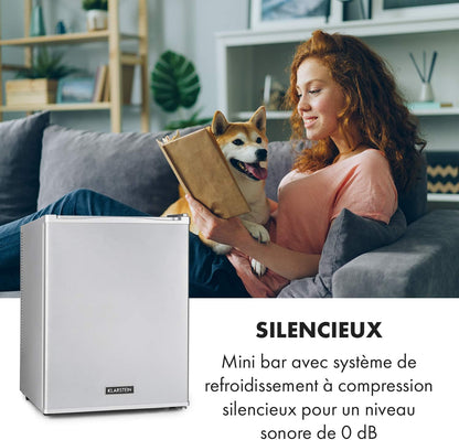 Petit Frigo De Chambre De 40L Pour Snacks Et Boissons, Frigo Top Silencieux, Mini Bar, Réfrigérateur Camping, Frigo Cosmetique, Refrigerateur Avec Étagères Réglables, 5-15°C