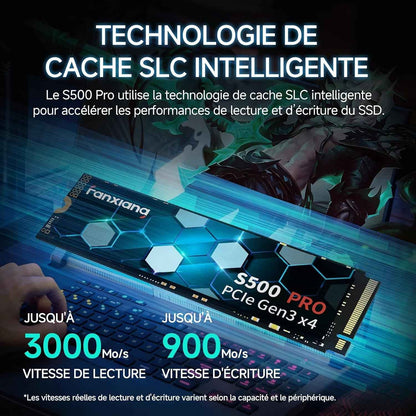 SSD Nvme 256Go SSD M.2 Pcie Gen3.0X4 2280 Disque SSD Interne 256Go, Jusqu'À 3000Mo/S En Lecture - Compatible Avec Notebook, Desktop, Pc(S500Pro)