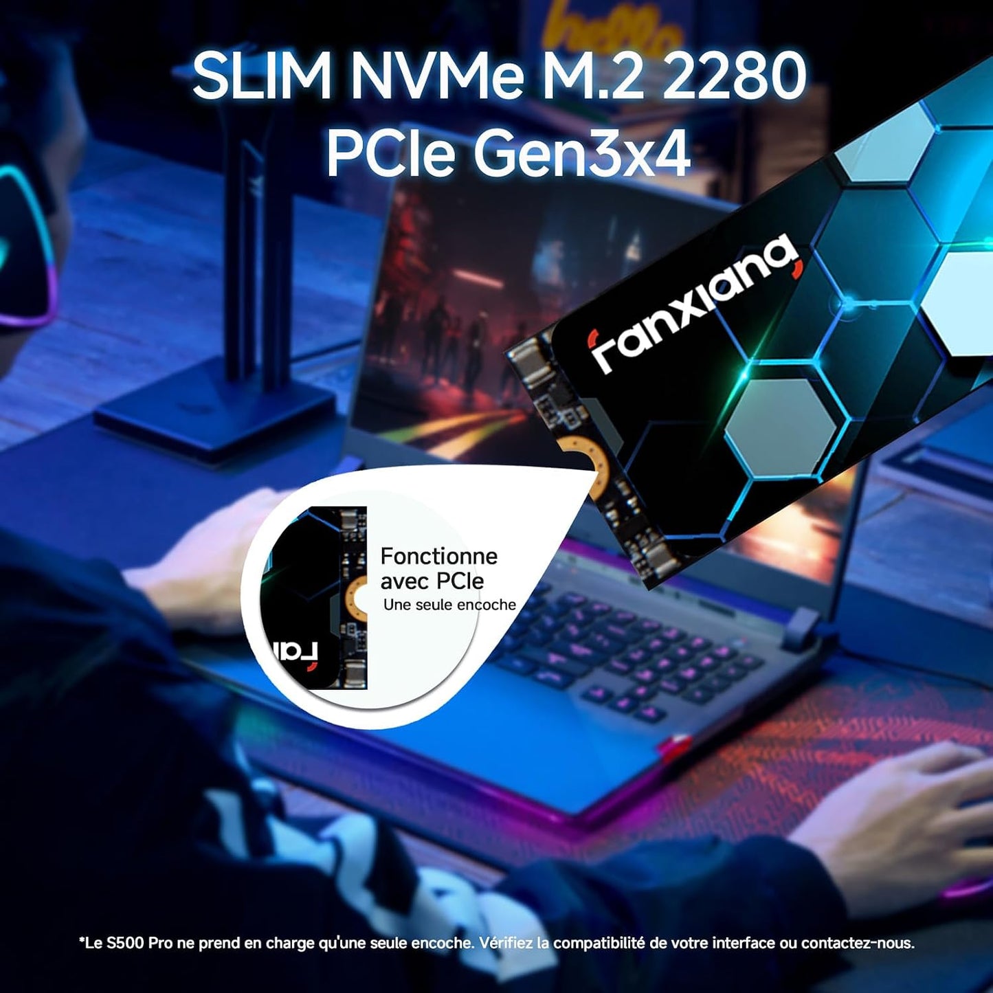 SSD Nvme 256Go SSD M.2 Pcie Gen3.0X4 2280 Disque SSD Interne 256Go, Jusqu'À 3000Mo/S En Lecture - Compatible Avec Notebook, Desktop, Pc(S500Pro)