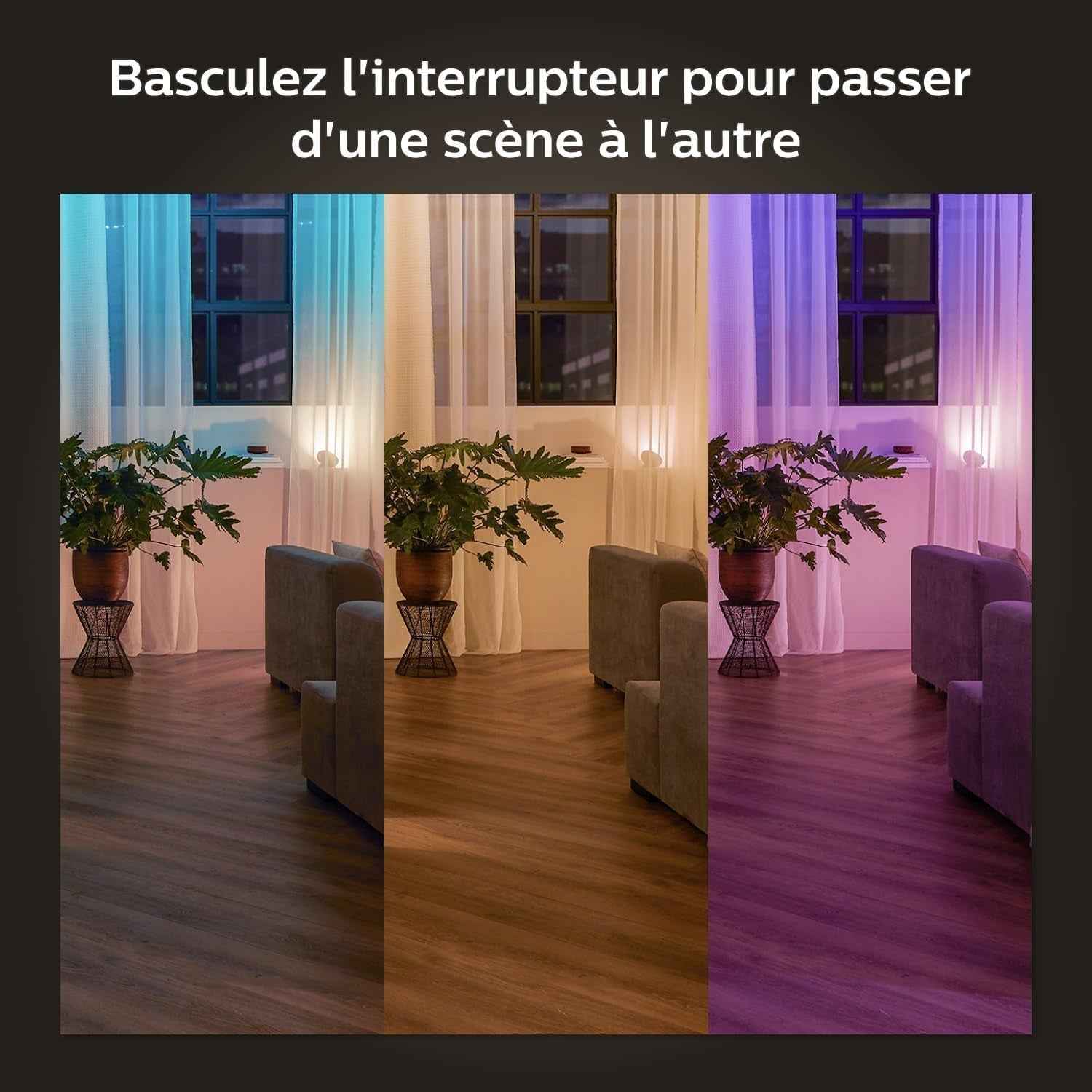 Philips Hue Module D'Interrupteur Filaire, Pack De 2