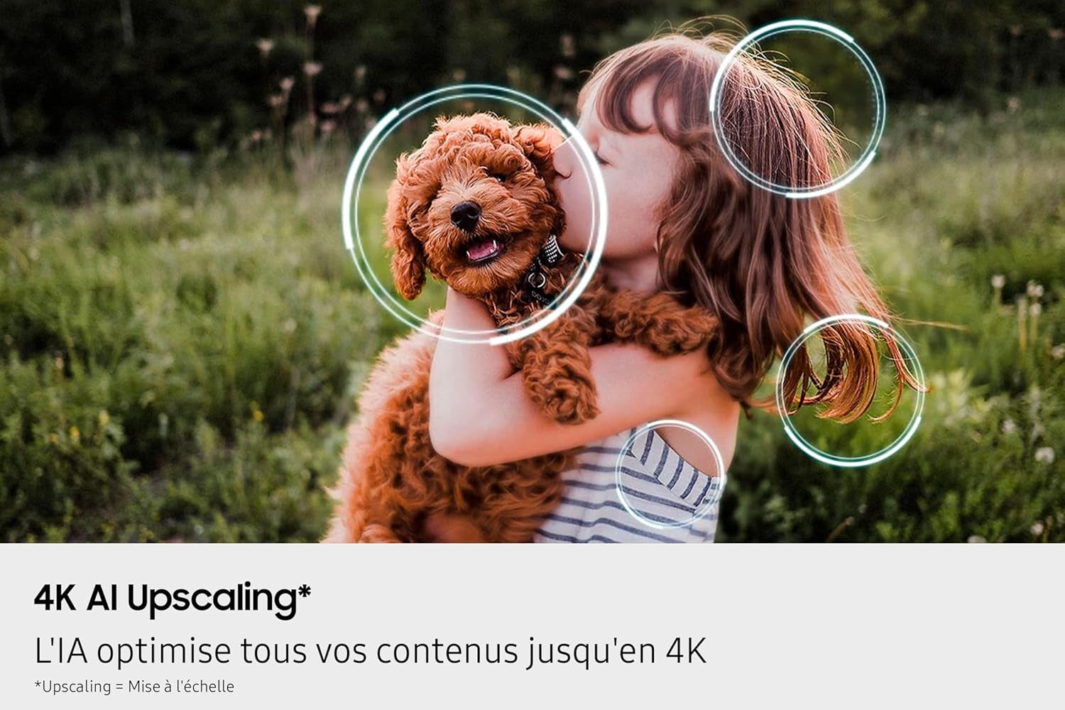 TV AI Mini LED 65 Pouces Neo QLED QN80F 4K Smart TV, Quantum Matrix Core, Processeur NQ4 AI Gen2, Wifi, Airplay, HDR, Q-Symphony, OTS Lite, Knox Security, Gaming Hub, Bixby, Dolby Atmos