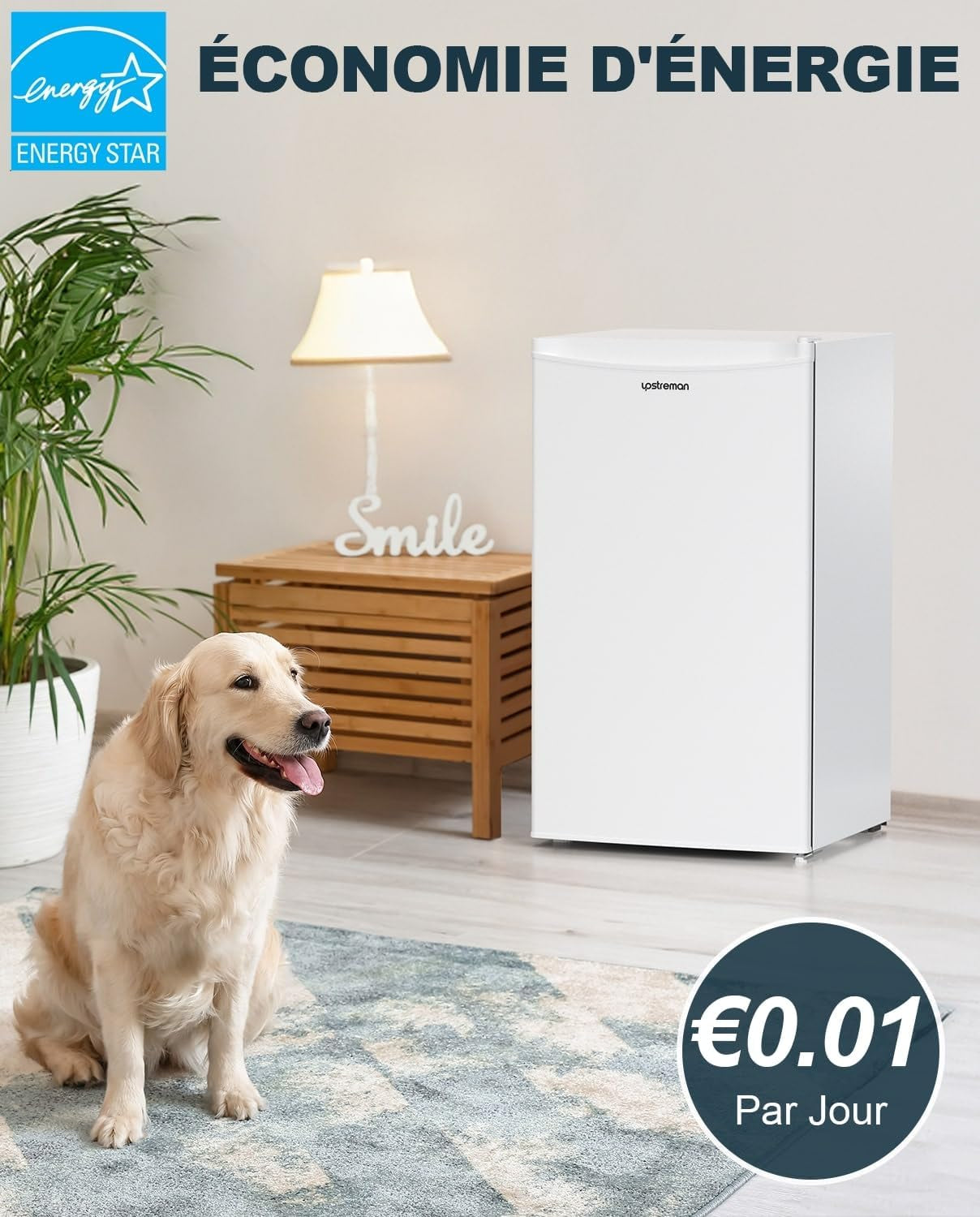 Upstreman Réfrigérateur 91 L Avec Congélateur Et Compartiment À Légumes, Thermostat Réglable, Mini Réfrigérateur Pour Dortoir, Bureau, Chambre, Blanc - BR321