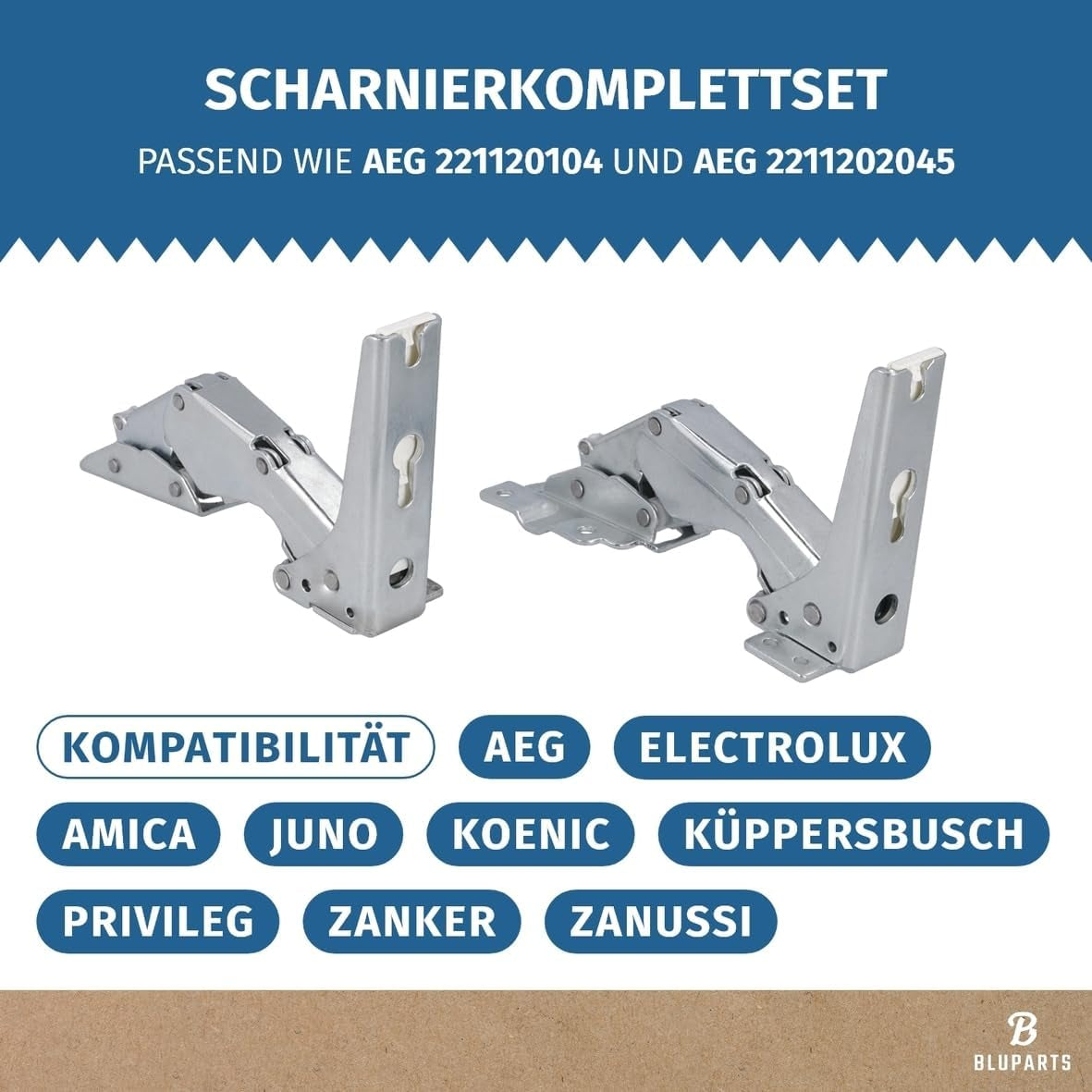 Lot De Charnières De Porte Inférieures Comme AEG 4055504197 Pour Réfrigérateur
