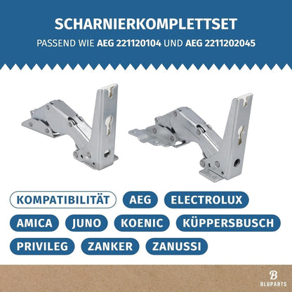 Lot De Charnières De Porte Inférieures Comme AEG 4055504197 Pour Réfrigérateur