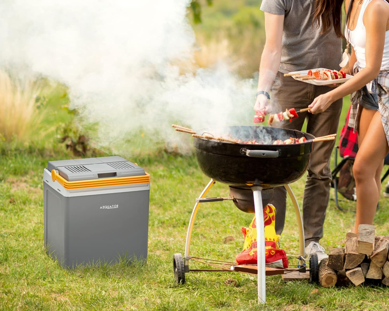 LUMI 24, Réfrigérateur Portable, 24 Liter, Glacière Électrique Portable, Chaud/Froid, 24L, 12/230V (0826042N.AE)