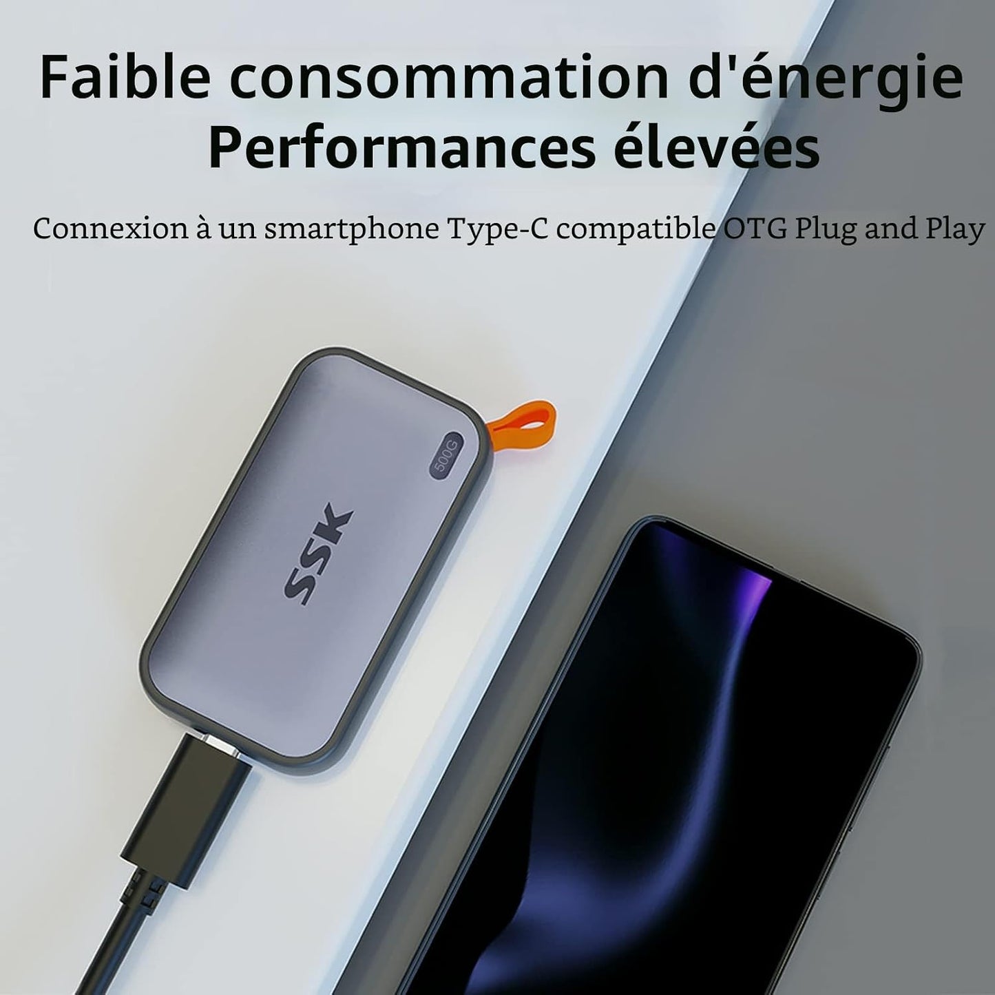 500 Go SSD Externe Jusqu'À 1050Mo/S En Lecture, USBC 3.2 Gen2 Disque Dur Externe Portable SSD Pour Iphone 15/16/PRO,PS5, Xbox, Ordinateur Portable, Macbook/Pro/Air Et Plus
