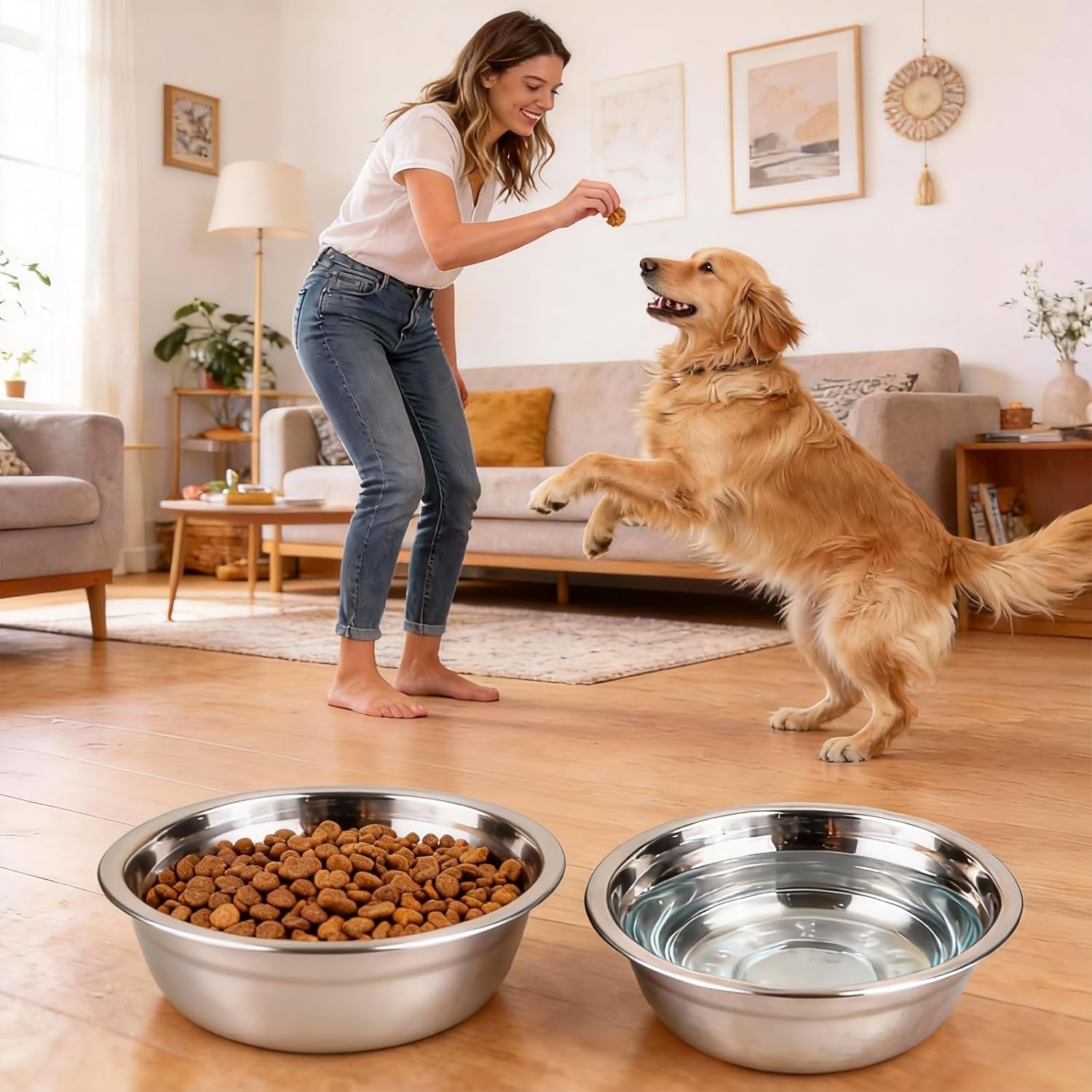 Bols Chat En Acier Inoxydable Pour Chats, 6 Gamelles Rondes En Acier Inoxydable Pour Chats Pour Chats Chiots Hamsters Lapins Chien Petits Animaux