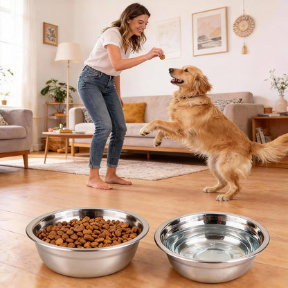 Bols Chat En Acier Inoxydable Pour Chats, 6 Gamelles Rondes En Acier Inoxydable Pour Chats Pour Chats Chiots Hamsters Lapins Chien Petits Animaux