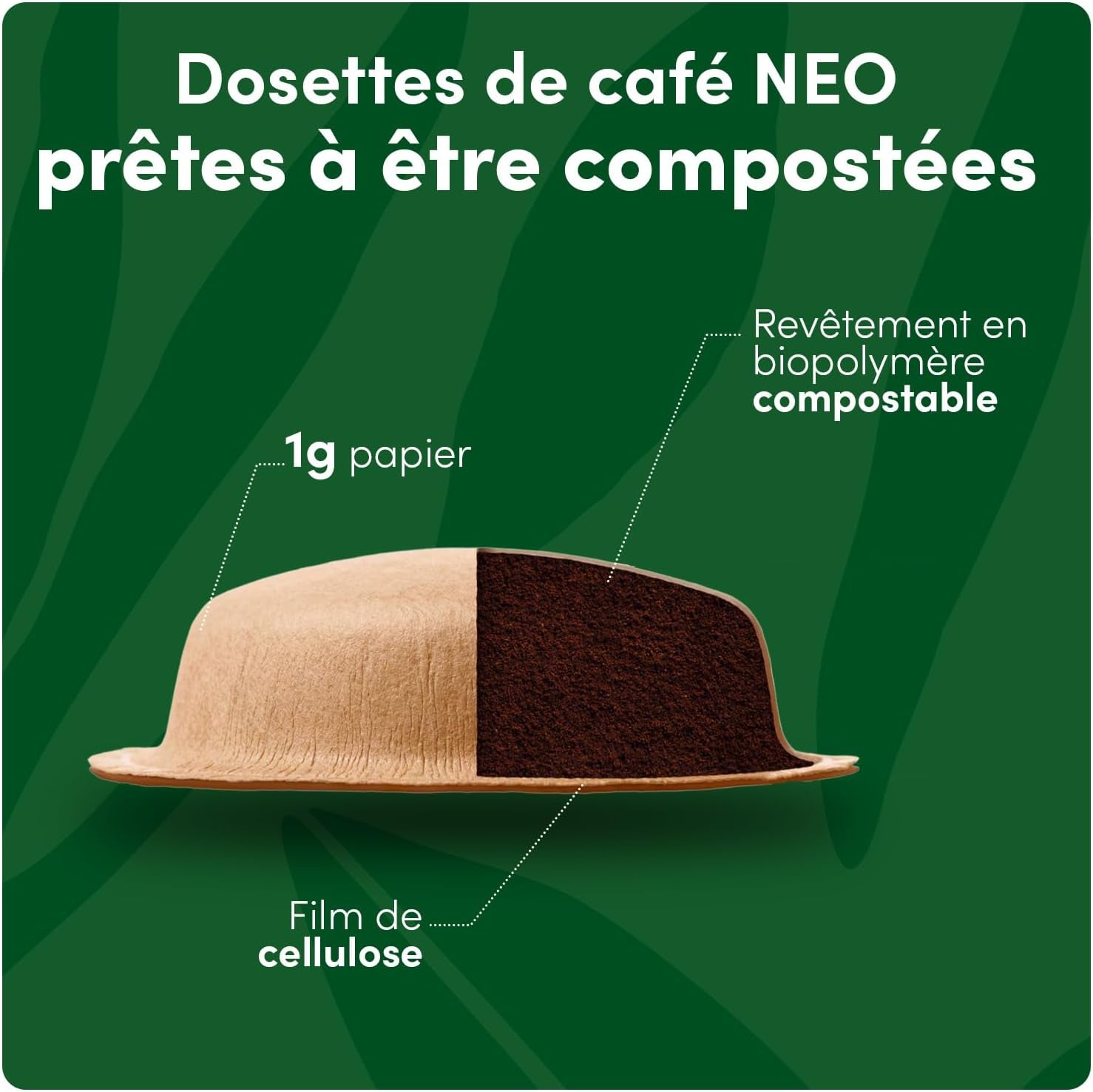 Marrakech Tea , 60 Sachets De Thé , 5 X 12 | Sachets De Thé Pour Infusion Rapide , Compatibles Uniquement Avec Les Machines NDG NEO , Technologie Infusion Airfoam