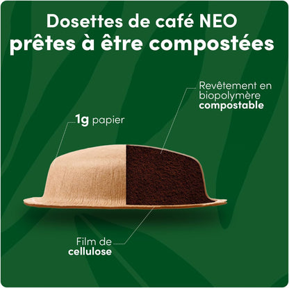 Marrakech Tea , 60 Sachets De Thé , 5 X 12 | Sachets De Thé Pour Infusion Rapide , Compatibles Uniquement Avec Les Machines NDG NEO , Technologie Infusion Airfoam