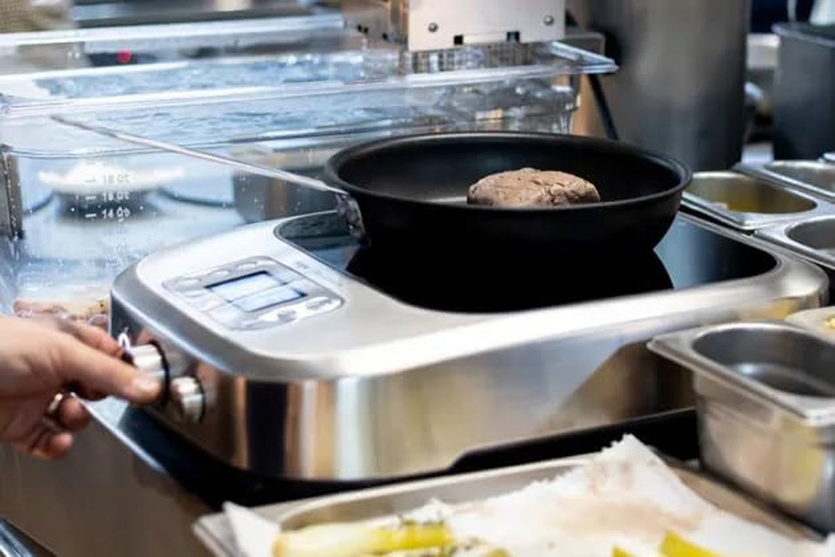 the Control Freak Plaque De Cuisson À Induction, 2400 W, En Acier Inoxydable