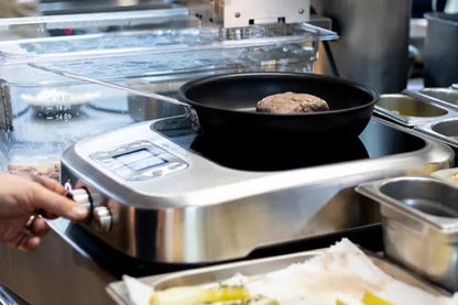 the Control Freak Plaque De Cuisson À Induction, 2400 W, En Acier Inoxydable