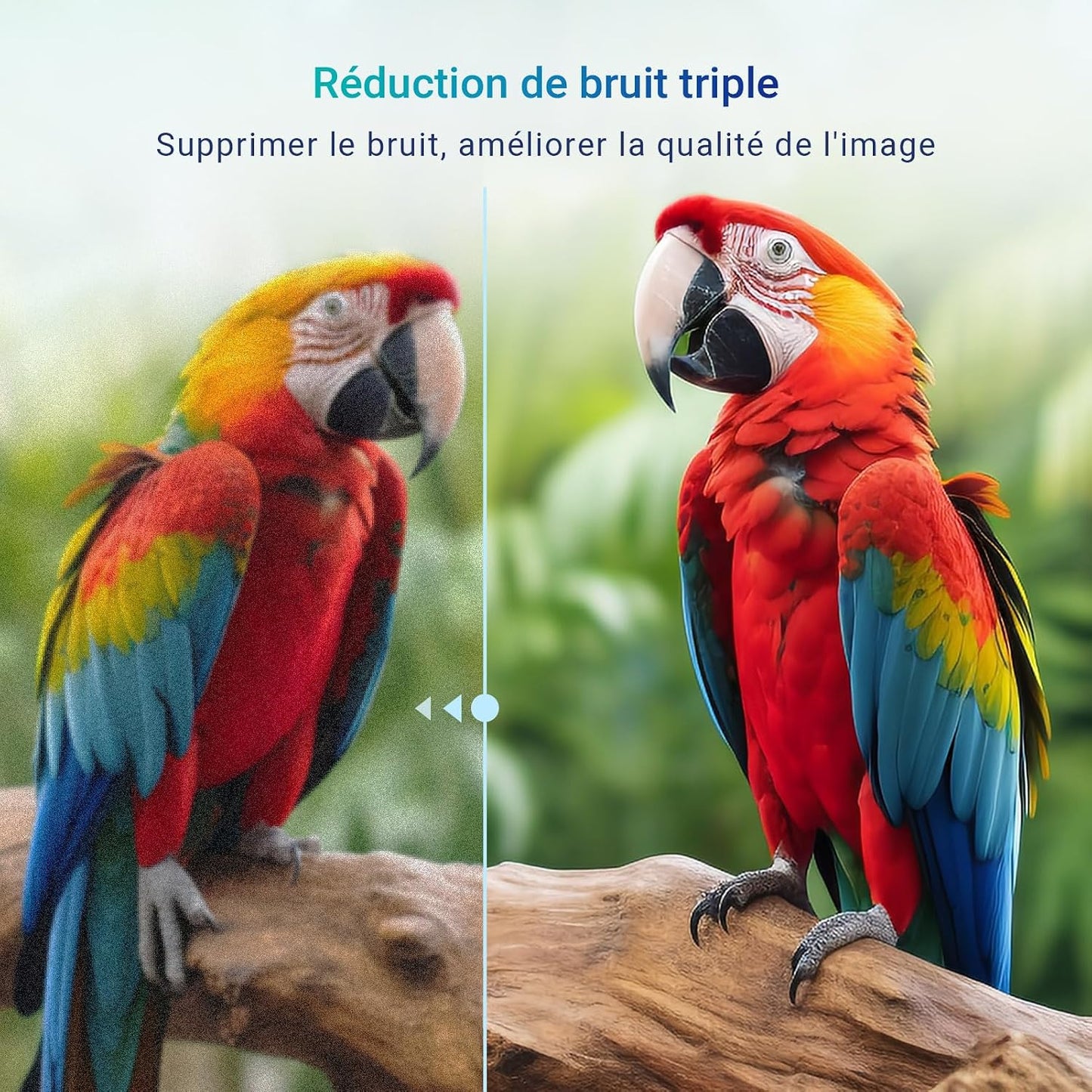 E32-AH1Q1L TV 32 Pouces Télévision 80Cm LED HD Ready, Sans Lunette, Avec Triple Tuner (DVB-T/T2-C-S/S2), HDMI, Usb-Media Player, Dolby Audio, Essential Series