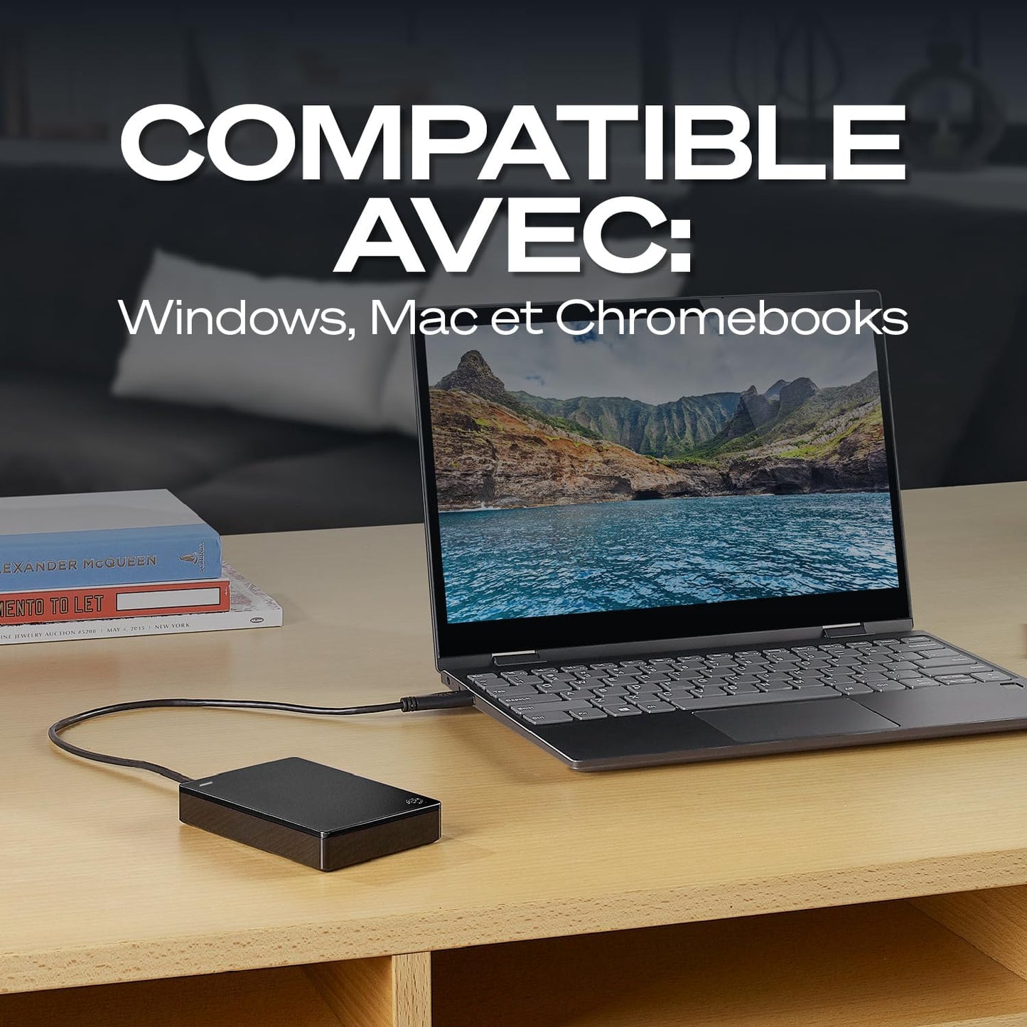 1Todisque Dur Portable | USB 3.0 (STGX1000400) | Stockage HDD Quotidien. Sauvegarde Plug-And-Play. Windows & Macos. Essai Adobe CC. Garantie 2 Ans + Rescue
