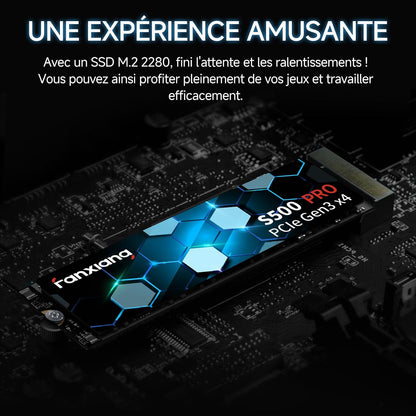SSD Nvme 256Go SSD M.2 Pcie Gen3.0X4 2280 Disque SSD Interne 256Go, Jusqu'À 3000Mo/S En Lecture - Compatible Avec Notebook, Desktop, Pc(S500Pro)