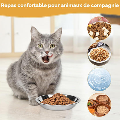Lot De 6 Gamelles Pour Chat, Gamelle Plate En Acier Inoxydable | Bol Chat Plat anti Moustache, Assiette Chat Basse, Facile À Nettoyer, Pour Eau Et Nourriture, Idéal Chat Et Petit Chien