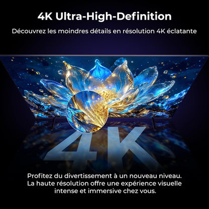 TV 55 Pouces 4K UHD Smart TV, Google TV Avec Cast Intégré, Dolby Vision Et Atmos, HDR 10, MEMC Pour Des Images plus Fluides