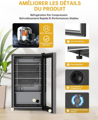 Mini Réfrigérateur Boissons 63L Mini Frigo De Chambre Avec Double Porte Vitrée, Etagères Réglables, Silencieux Petit Frigo Pour Maison/Chambre/Bureau/Cuisine