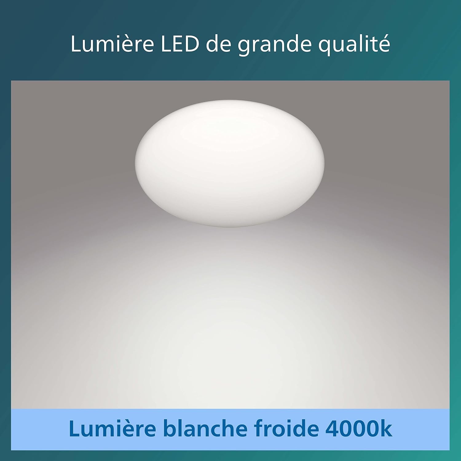 Lighting Plafonnier LED Shan 12W Avec Détecteur De Mouvement, Éclairage Blanc Froid 4000K, Blanc