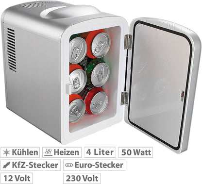 Rosenstein & Söhne Mini Réfrigérateur 2 En 1 Avec Prise 12/230 V - Gris