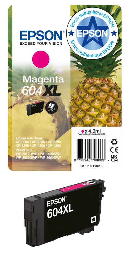 Epson Ink/604 Pineapple C13T10G64010 Multipack