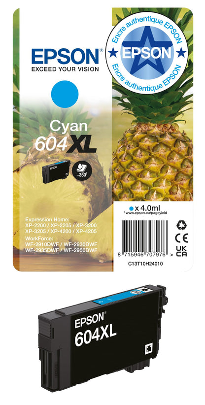 Epson Ink/604 Pineapple C13T10G64010 Multipack