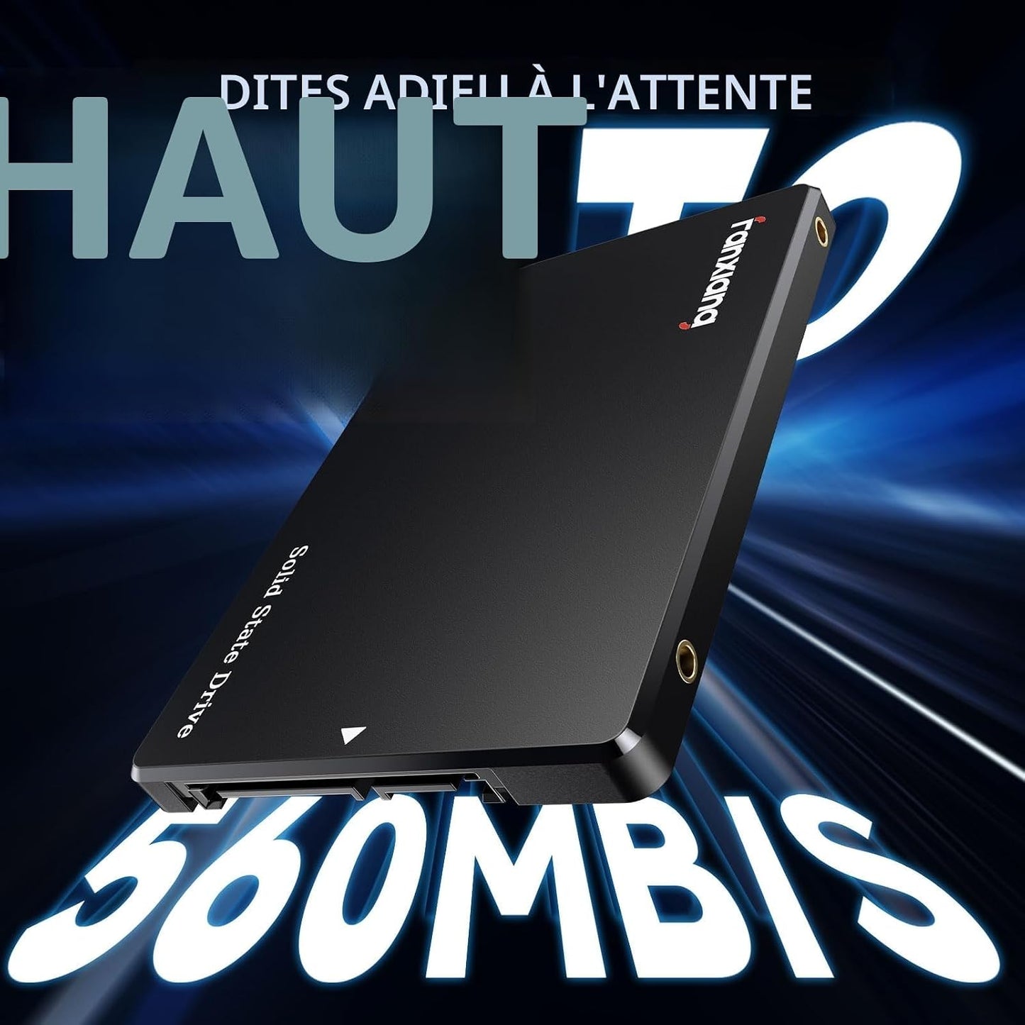 512Go SSD SATA III 6Go/S, SSD 2.5" 560Mo/S En Lecture, 3D NAND Disque SSD Interne Compatible Avec Ordinateurs Portables Et Ordinateurs De Bureau(S101Q)