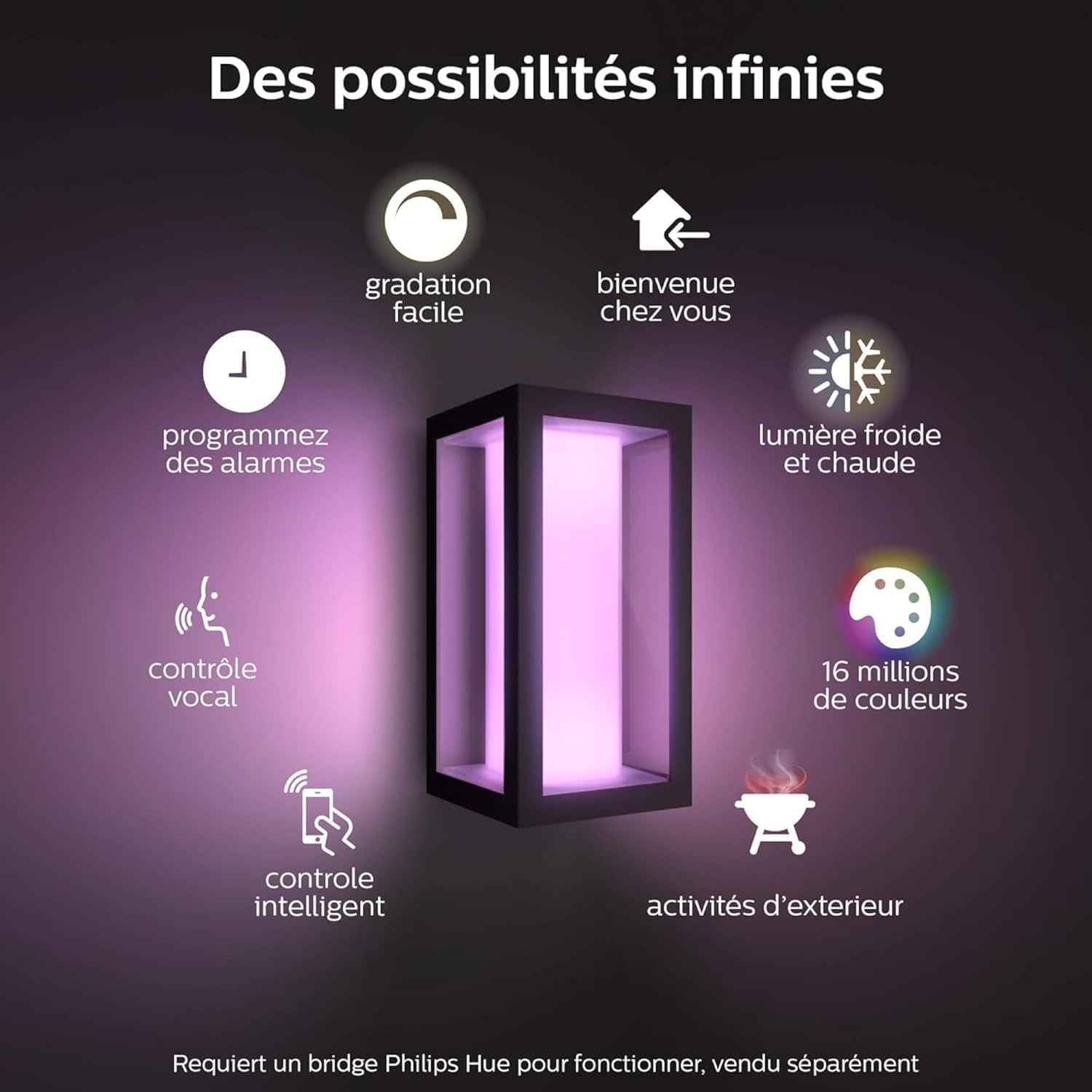 Philips Hue White & Color Ambiance Applique Murale Extérieur IMPRESS, Kit De Base Jusqu'À 16 M De Couleurs, Noir, Luminaire Philips Compatible Alexa, Google Assistant Et Apple Homekit