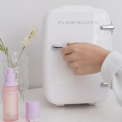 Mini Frigo 4L - Petit Frigo, Mini Frigo De Chambre 12V/220V, Mini Frigo Cosmetique, Fonction Chaud Et Froid, Refrigerateur Petit, Frigo Bar